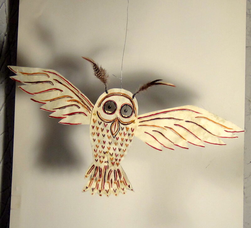 Shadow Owl 2015